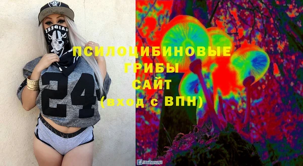 скорость Новозыбков