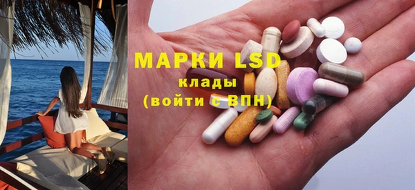 a pvp Новодвинск