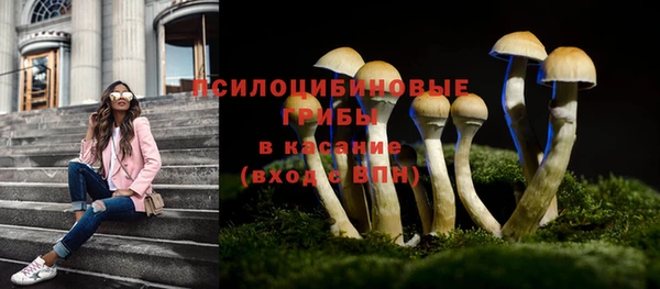скорость Новозыбков