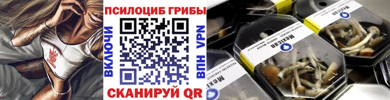 наркота  OMG как войти  Псилоцибиновые грибы GOLDEN TEACHER  Энем 